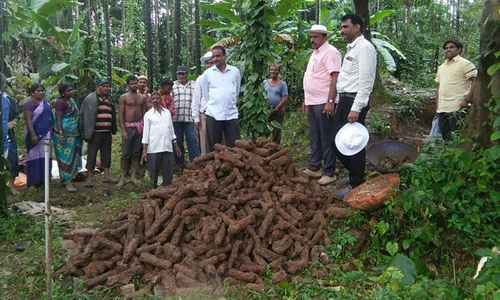 1000 hỏa tiễn của vua Ấn Độ chôn dưới giếng hoang