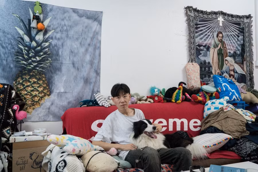 Chủ sắm biệt thự nửa triệu đô cho chó cưng ở Bắc Kinh ảnh 2