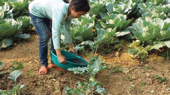 Học sinh được trực tiếp gắn bó với hoạt động sản xuất. Ảnh: Thanh Long