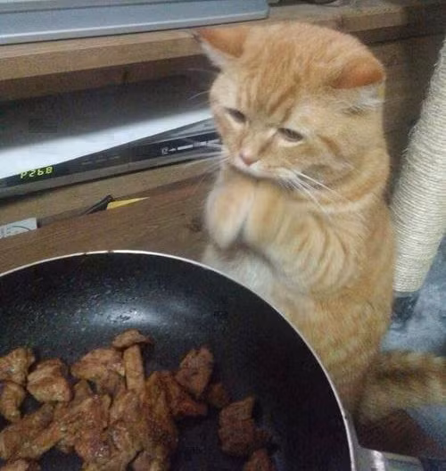 10-anh-hai-hot-nhat-facebook-trong-ngay-5