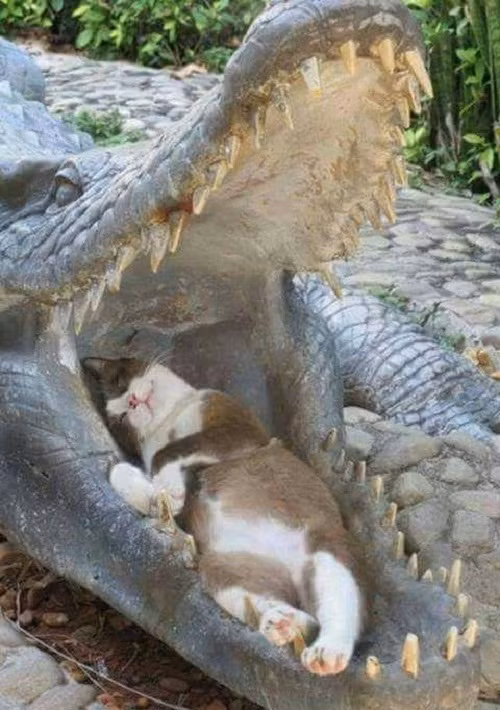 10-anh-hai-hot-nhat-facebook-trong-ngay-8