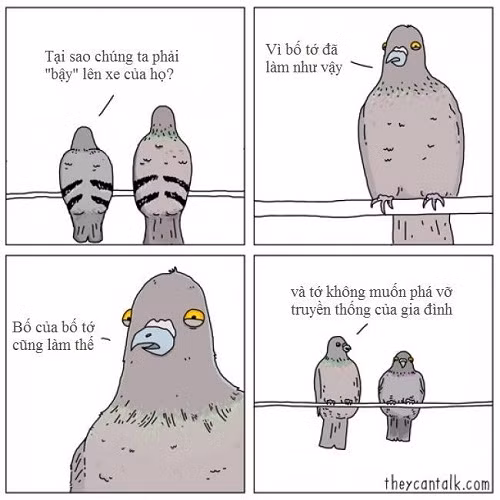 Truyền thống của loài bồ câu.