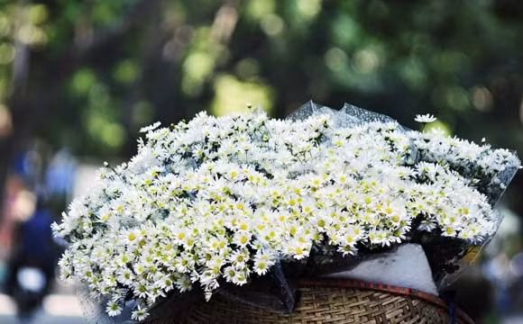 Hà Nội mùa đông…