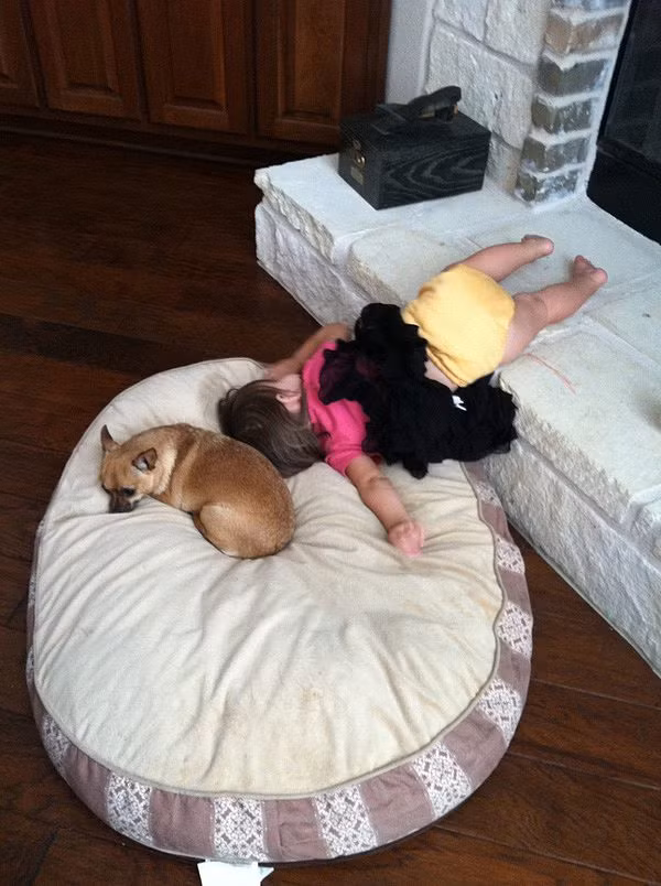 Cười không nhặt được mồm với 1001 dáng ngủ khó đỡ của con trẻ - Hình 6