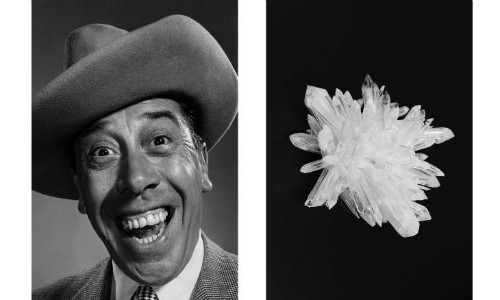 Một tác phẩm thuộc dự án "Liệu trình hình ảnh" của Aëgerter. Một tác phẩm thuộc dự án của