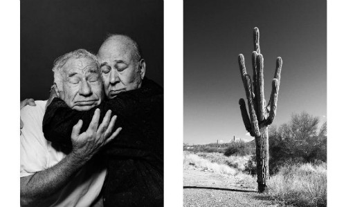 Bức ảnh khiến người xemliên tưởng đến sự tương đồng giữa hai người đàn ông với cây xương rồng và ở mức độ sâu hơn là tình bạn thân thiết. Bức ảnh khiến người xemliên tưởng đến sự tương đồng giữa đầu hai người đàn ông với cây xương rồng và ở mức độ sâu hơn là tình bạn gần gũi thân thiết. Ảnh: CNN.