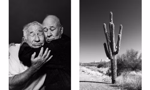 Bức ảnh khiến người xemliên tưởng đến sự tương đồng giữa đầu hai người đàn ông với cây xương rồng và ở mức độ sâu hơn là tình bạn gần gũi thân thiết. Ảnh: CNN.