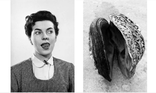 Liệu pháp chữa trị bằng hình ảnh cho người bị sa sút trí tuệ ảnh 3 Hai bức ảnh đều gợi lên liên tưởng tình dục và dễ dàng tạo ra nhiều câu chuyện thú vị khi kết nối với nhau. Ảnh: CNN.