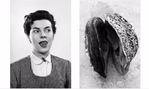 Hai bức ảnh đều gợi lên liên tưởng tình dục và dễ dàng tạo ra nhiều câu chuyện thú vị khi kết nối với nhau. Ảnh: CNN.