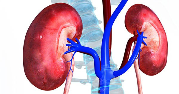 Người mắc bệnh thận nên và không nên ăn gì trong mâm cơm ngày Tết? ảnh 1 Người mắc bệnh thận nên và không nên ăn gì trong mâm cơm ngày Tết? ảnh 1