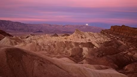 Thế giới bị bỏ hoang