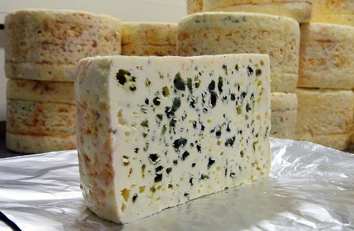 Miếng pho mát mốc xanh ngon nhất thế giới