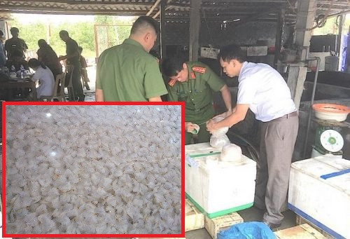 Nghệ An: Phát hiện, hơn 3 tấn sứa biển ngâm hóa chất