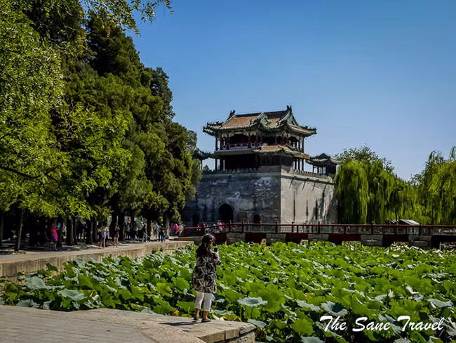 lac troi ve co dai tai di hoa vien - cung dien mua he cua hoang toc nha thanh hinh anh 5