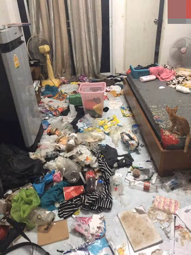 gai xinh "bung" tien nha, de lai can phong nhu bai rac gay phan no hinh anh 2