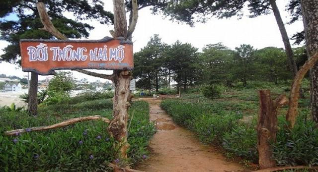 bi an dang sau 4 dia danh co ten goi ky la nhat viet nam - 11