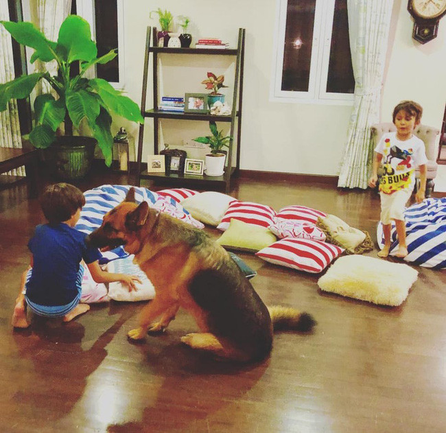 Thân thế bất ngờ của cậu bé lai xinh đẹp trong đám cưới của chồng cũ Hồng Nhung - Ảnh 4. Thân thế bất ngờ của cậu bé lai xinh đẹp trong đám cưới của chồng cũ Hồng Nhung - Ảnh 4.