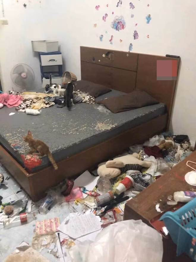 gai xinh "bung" tien nha, de lai can phong nhu bai rac gay phan no hinh anh 3