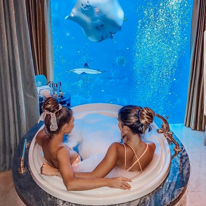 Cuoc song sang chanh cua 