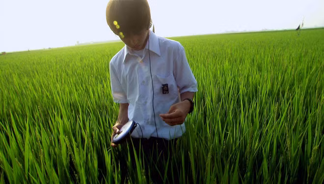 8 bo phim ve toi ac hoc duong chan dong man anh chau A hinh anh 7 