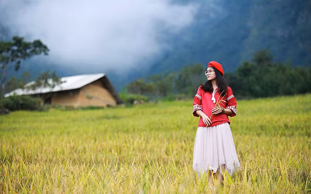 Lên Y Tý ngắm ruộng bậc thang mùa lúa vàng ảnh 7