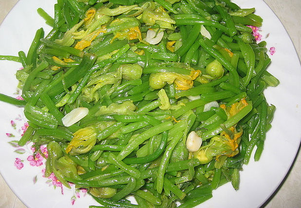 Hoa bí đỏ Hoa bí đỏ