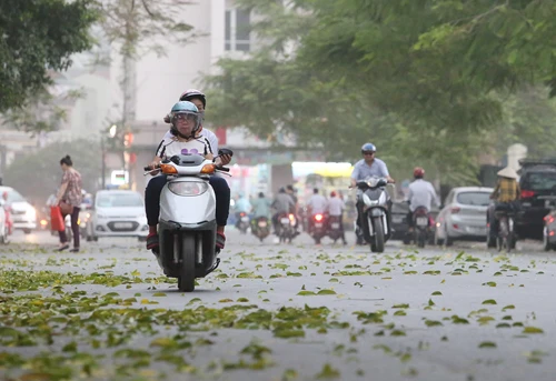 Gió mùa tràn về, Hà Nội mát mẻ