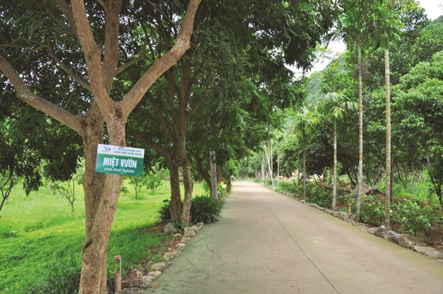 Tour khám phá miệt vườn được nhiều người lựa chọn