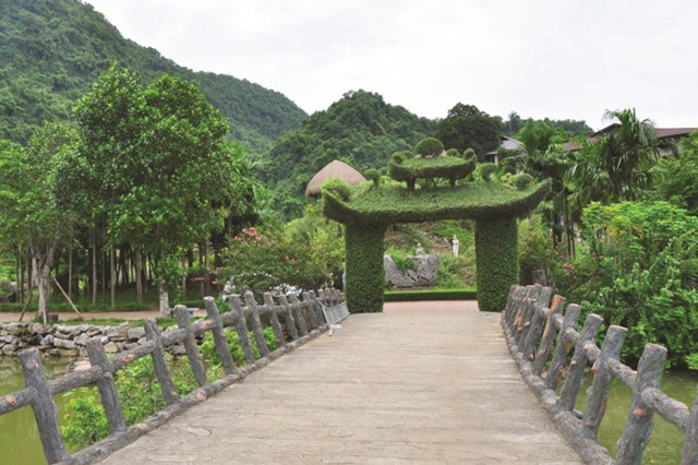 Cây cổ thụ, đặc trưng của Thung Nham