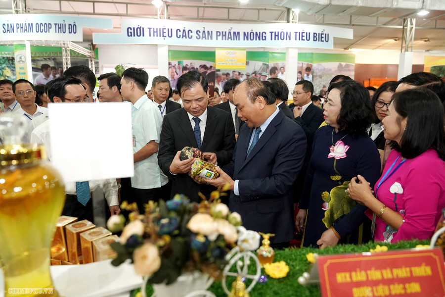 Thủ tướng: Nông thôn Hà Nội phải là miền quê đáng sống ảnh 8