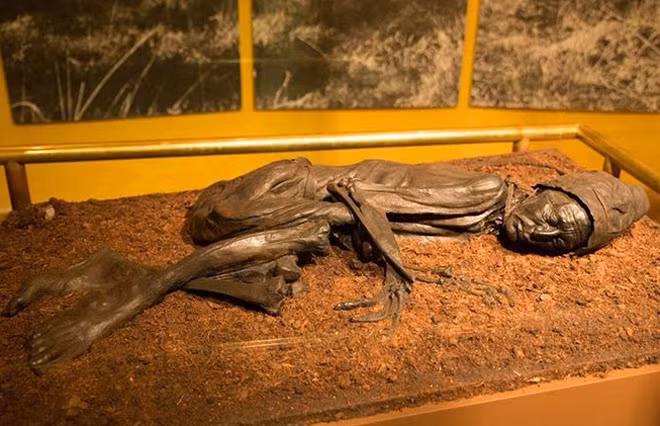 Nồng độ axit trong lớp bùn có thể ngăn chặn vi sinh vật xâm thực, bảo tồn các mô mềm, nội tạng của người chết một cách hoàn hảo.