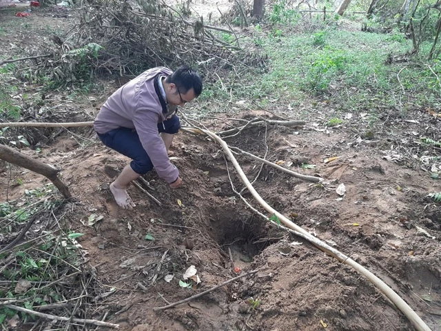 Nơi người dân tìm được cây gỗ sưa "tiền tỷ".