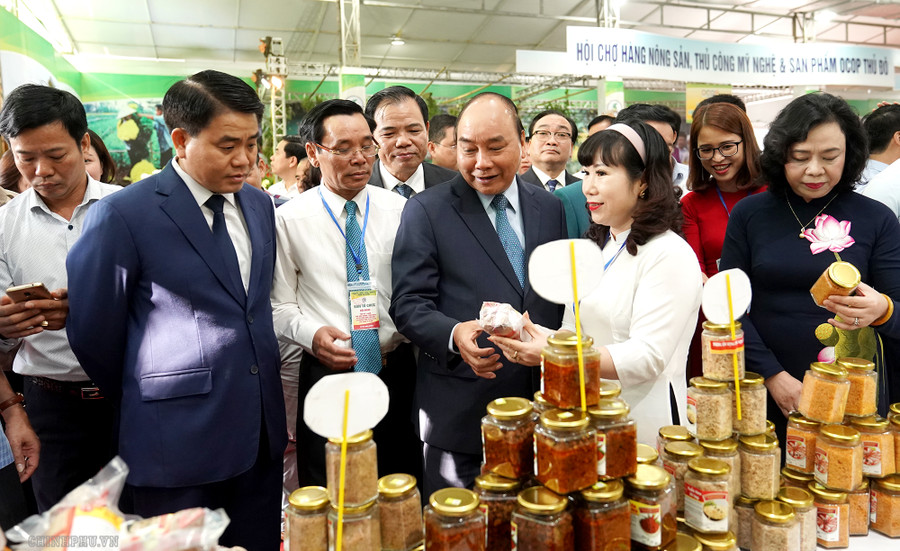 Thủ tướng: Nông thôn Hà Nội phải là miền quê đáng sống ảnh 10