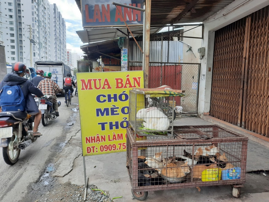 Quán trên đường Bình Long (quận Tân Phú) treo bảng có bán chó nhưng chủ yếu cung cấp thỏ, mèo. Ảnh: TG Quán trên đường Bình Long (quận Tân Phú) treo bảng có bán chó nhưng chủ yếu cung cấp thỏ, mèo. Ảnh: TG