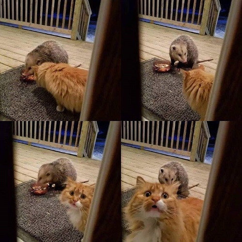 Kể từ đó ánh mắt em hồn nhiên đến lạ.