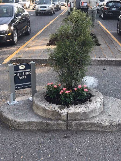 Công viên bé nhất thế giới: rộng chưa đầy 1 mét nhưng được cả thành phố nâng niu-2