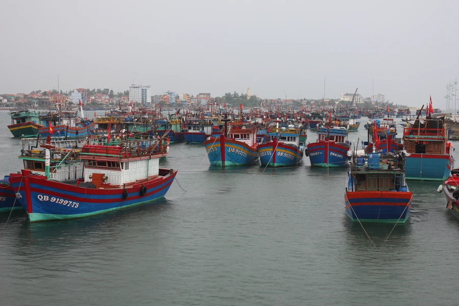 Tàu thuyền trú tránh bão (Ảnh TL)