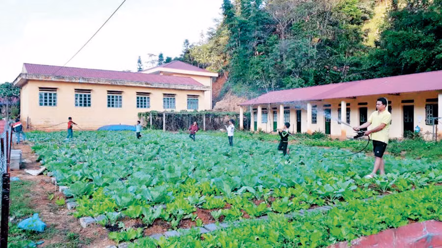 Bảo đảm nguồn nước cho các hoạt động tại nhà trường. Ảnh: Thanh Long