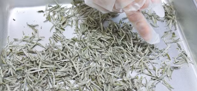 Đặc sản quý hiếm, cất kỹ 20 năm đem ra càng ngon, giá khủng gần 5 triệu/kg-11