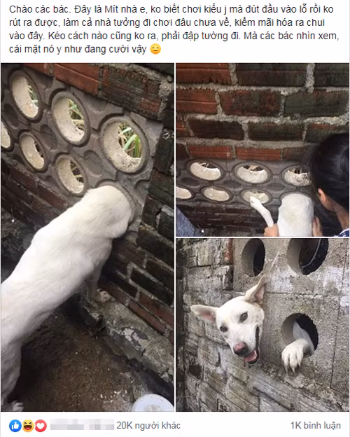 Chia sẻ nhận được hàng chục nghìn lượt thích.