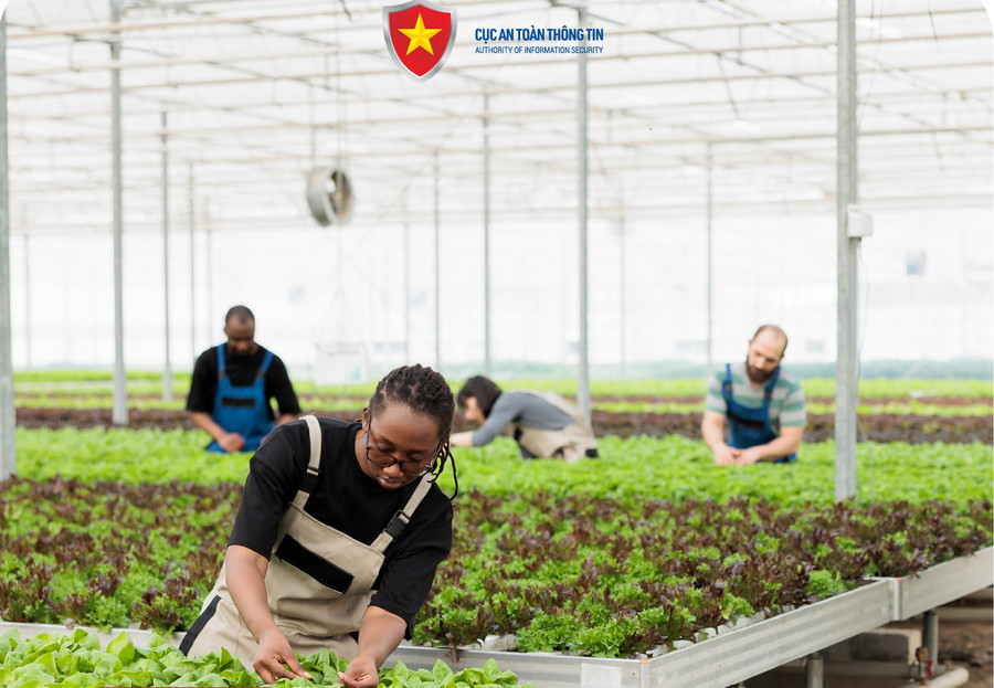 Nguồn ảnh: Cục An toàn thông tin.