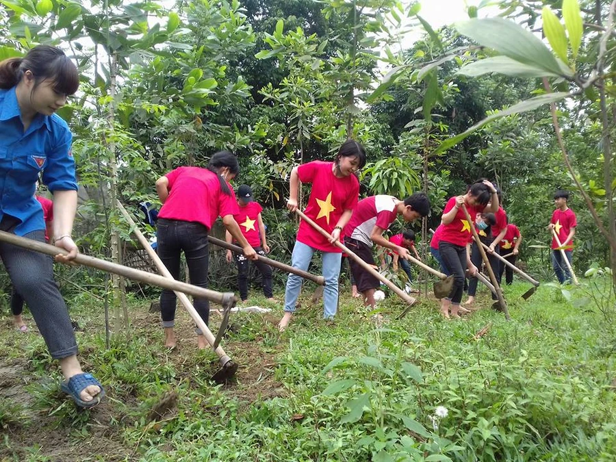 Thiết thực những hoạt động trải nghiệm học đường