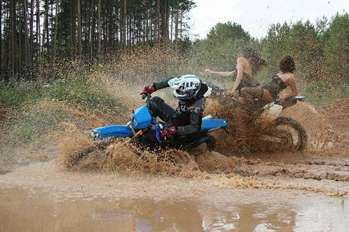 Người đẹp và quái xế. Người đẹp và quái xế.