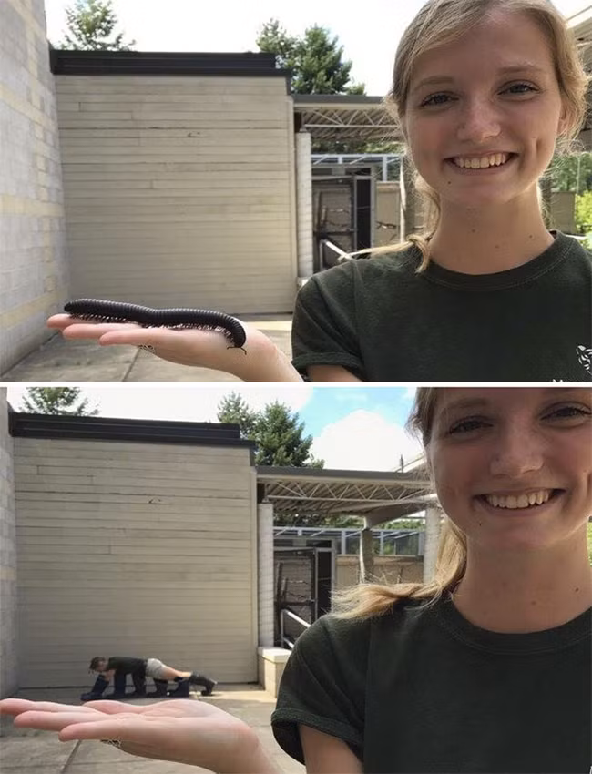 Hài hước nhân viên sở thú "sống ảo" nhại lại động vật hình ảnh 5 hai huoc nhan vien so thu "song ao" nhai lai dong vat hinh anh 5