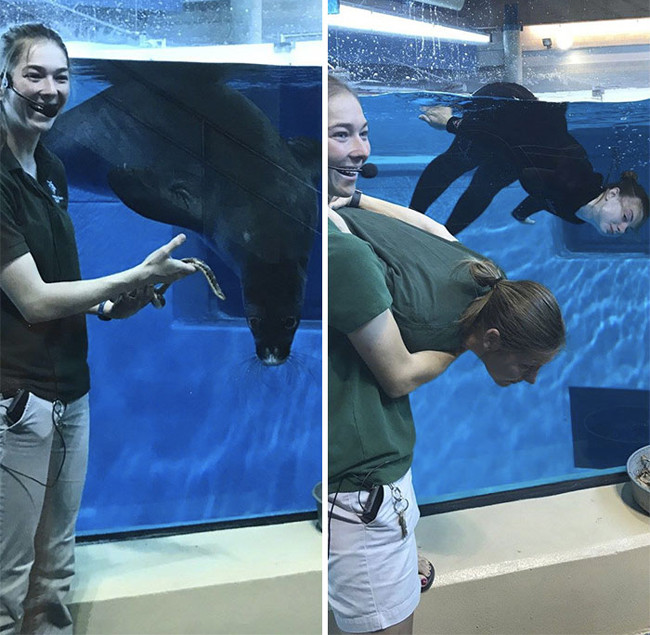 hai huoc nhan vien so thu &quot;song ao&quot; nhai lai dong vat hinh anh 2