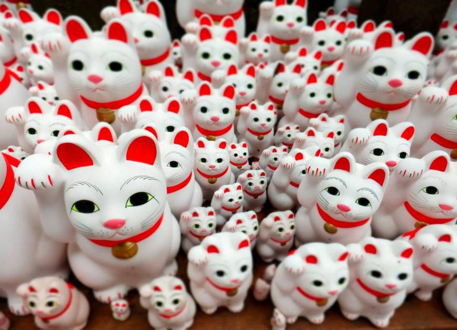 Mèo thần tài meo than tai