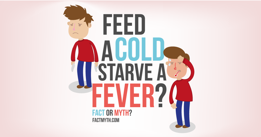 Lúc ốm đau nên ăn hay nên nhịn? ảnh 1 Lúc ốm đau nên ăn hay nên nhịn? ảnh 1