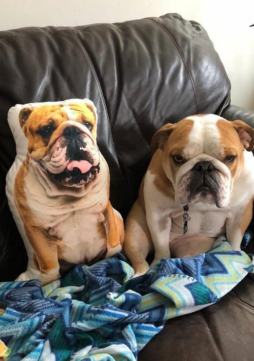 Lý do đừng bao giờ tin vào ảnh trên mạng xã hội. Lý do đừng bao giờ tin vào ảnh trên mạng xã hội.