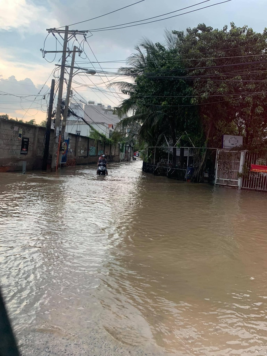 ...đến trong ngõ hẻm. ...đến trong ngõ hẻm.