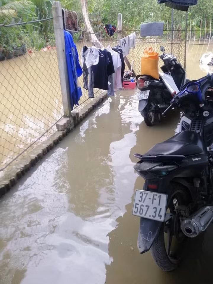 Nước tràn bờ bao, bờ kè.